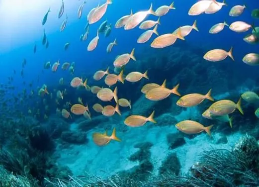 Blu Infinito Diving Center