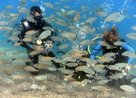 Kos Divers