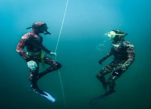 Wild Blue Diving LTD