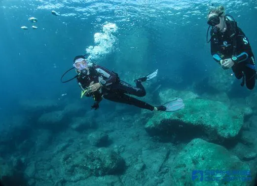 Seahorse Dive Center