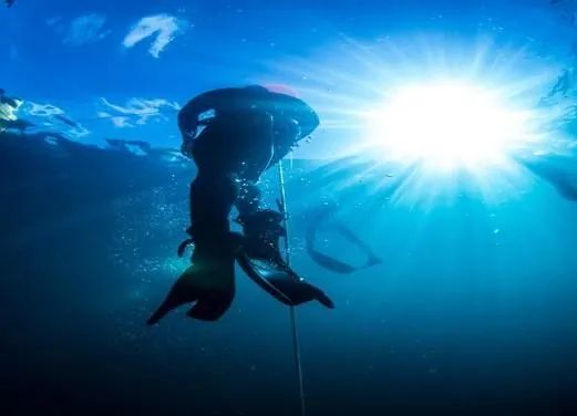 Wild Blue Diving LTD