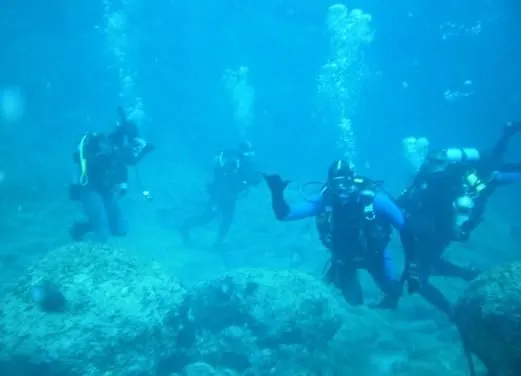 Omega Divers