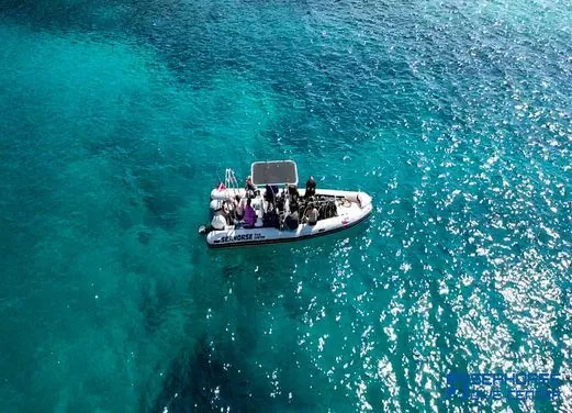 Seahorse Dive Center