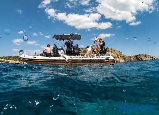 Seahorse Dive Center