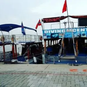 Magic Dive