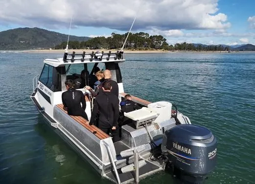 Wild Blue Diving LTD