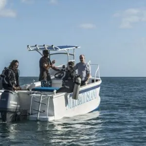 Great Sea Reef Divers