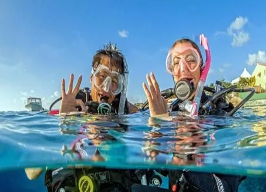 Ocean Diving Center