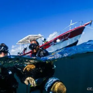Mar Adentro Diving