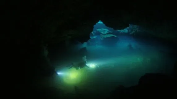 Green Divers Tulum