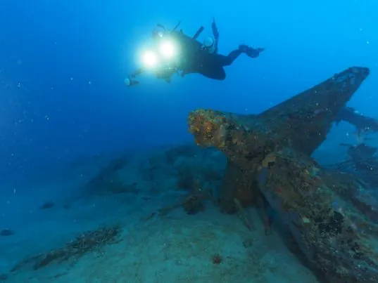 Aquatica Dive & Surf