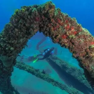 Aquatica Dive & Surf