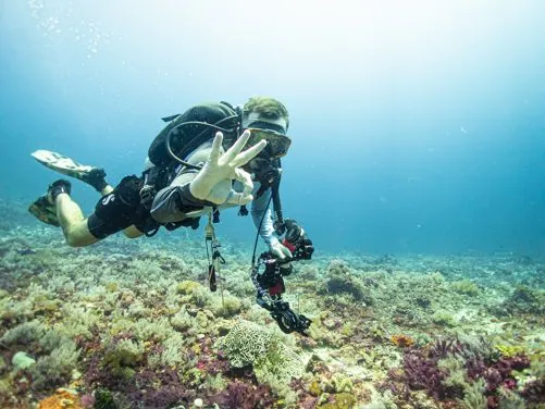 Pure Dive Resort
