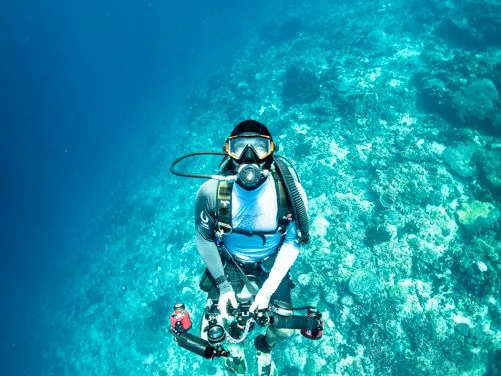 Pure Dive Resort