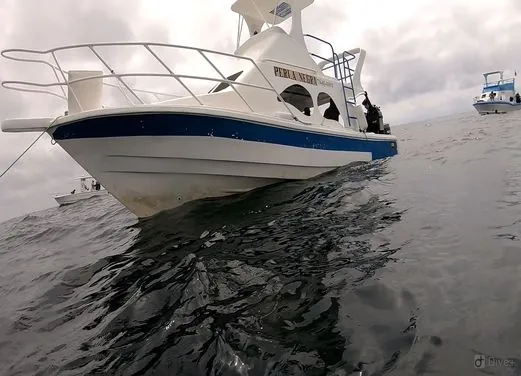 Buceo Ecuador