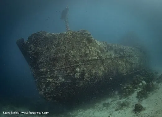 Rabaul-Kokopo Dive
