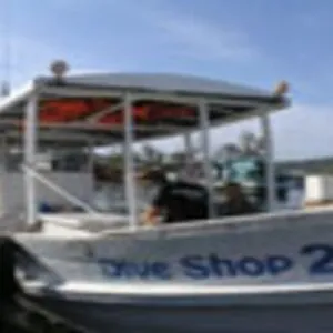 The Dive Shop