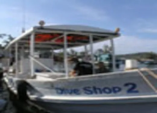 The Dive Shop