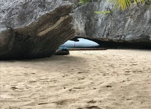 The Dive Academy