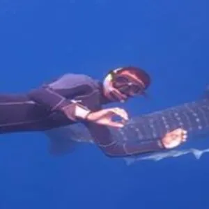 Pro Divers Corner