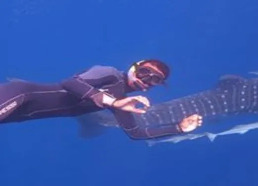 Pro Divers Corner