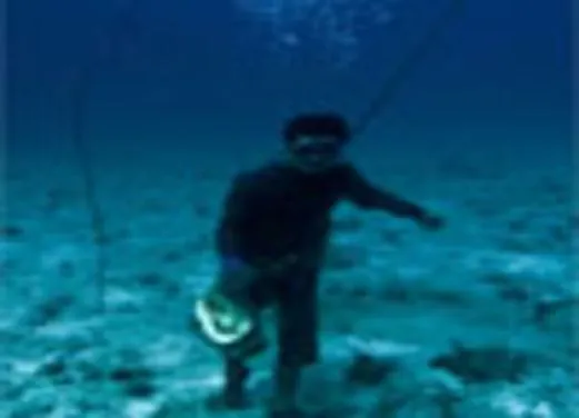 The Dive Shop