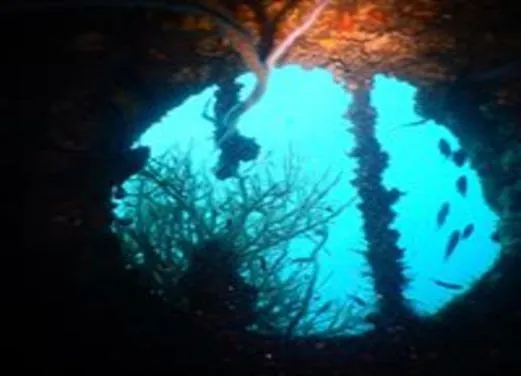 The Dive Academy