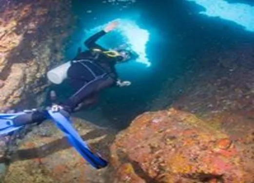 The Dive Academy