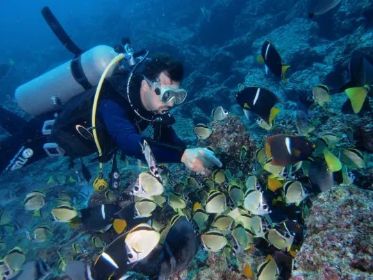 Aqua Center Diving