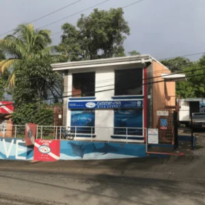 Summer-Salt Dive Center