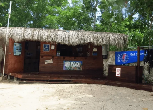 Go Dive Bayahibe