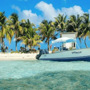 Seahorse Dive Shop