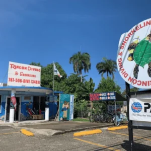 Rincon Diving & Snorkeling