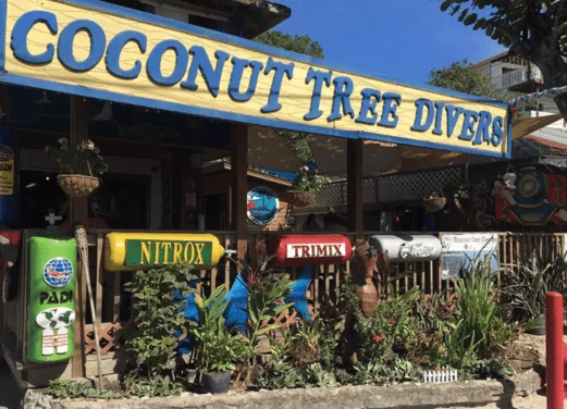 Coconut Tree Divers