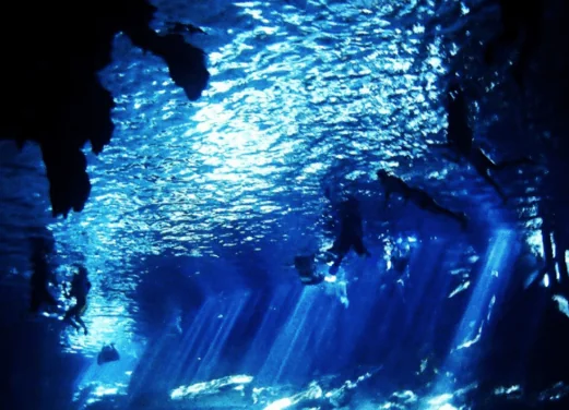 Flying Fish Tulum