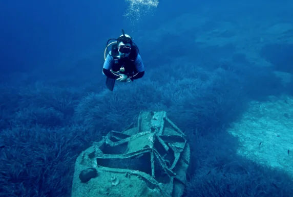 We Shall Sea