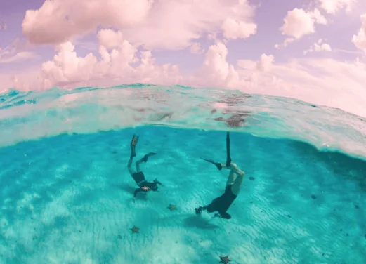Ocean Nomads
