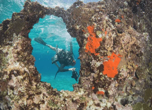 Ocean Nomads