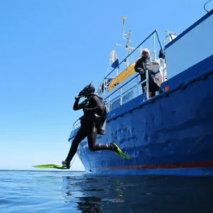 SC Diving