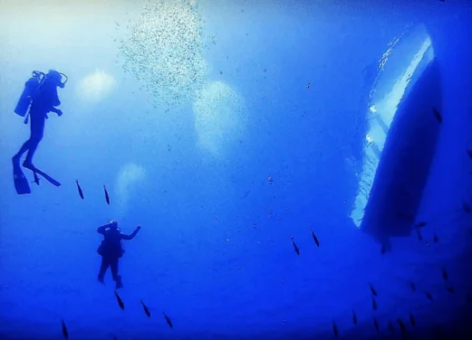 BluFish Dive Center