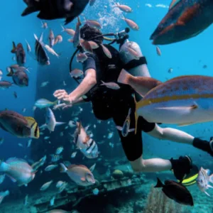 Epsilon Dive Center