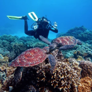 Zen Dive Bali