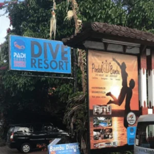 Bambu Divers