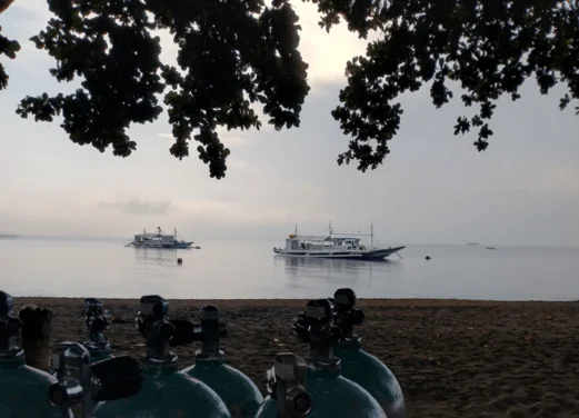 Mike's Dauin Dive Resort