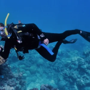 Scuba IQ