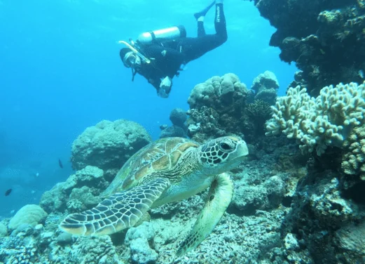 Scuba IQ