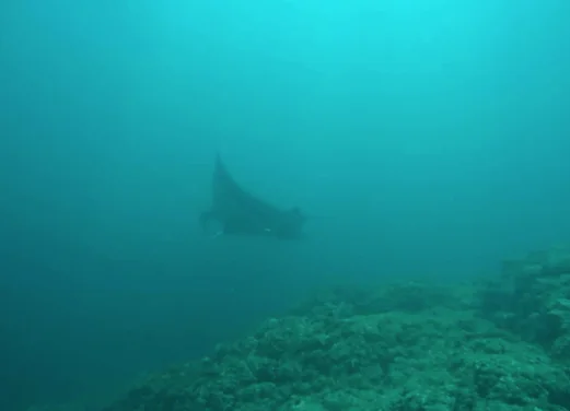 Aqua Center Diving