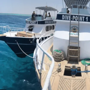 Dive Point Red Sea