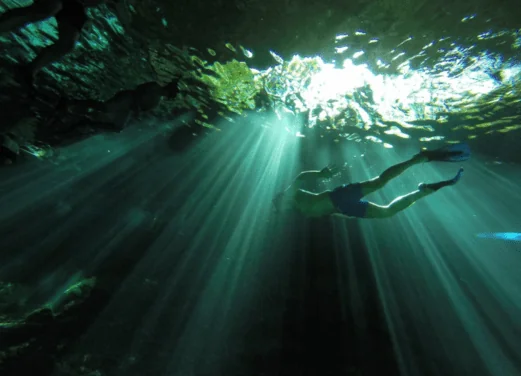 Dive and Snorkel Tulum