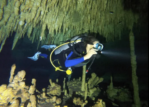 Dive and Snorkel Tulum